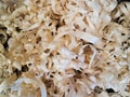 Light colored wood shavings texture close up