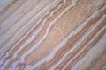 Light colorless wooden surface, natural pattern