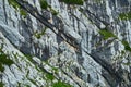 Light-coloured, Parallel Stratified Limestone Banks With Secondary Precipitates Of Black Manganese Oxide At The Layer Joints Of