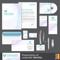 Light corporate identity template for medical company.