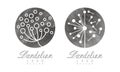 Light Dandelion Fluffy Flower Head as Logo Design Vector Set