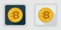 Light and dark Bytecoin crypto currency icon