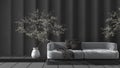 Light and dark concrete molded plaster wall in modern luxury living room with sofa and potted tree. Cozy background with copy