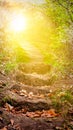 Light in dark sky . Stairs in sky . Religion for the person . Way to heaven Royalty Free Stock Photo