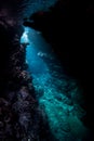 Light and Dark Underwater Cave in the Solomon Islands