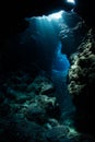 Light and Dark in Underwater Grotto Royalty Free Stock Photo