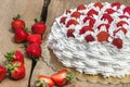 Light, delicate and tasty cream cake with fresh strawberries (half cake)