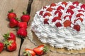 Light, delicate and tasty cream cake with fresh strawberries (half cake) Royalty Free Stock Photo