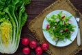 Light diet Spring salad of Chinese cabbage and radish. Vegan dish. Royalty Free Stock Photo