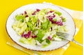 Light dietary vegetarian salad in plate on bright background. Healthy lifestyle concept Royalty Free Stock Photo