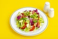 Light dietary vegetarian salad in plate on bright background. Healthy lifestyle concept Royalty Free Stock Photo