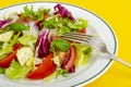 Light dietary vegetarian salad in plate on bright background. Healthy lifestyle concept Royalty Free Stock Photo