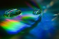 Light diffraction showing rainbows on water drops