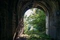 Light at the end of abandoned railroad tunnel. Overgrown railway