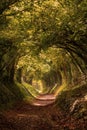 Light at the end of the tunnel. Halnaker tree tunnel in autumn, in West Sussex UK with sunlight shining in through the branches. Royalty Free Stock Photo