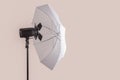 The light equipment of photo studio, on pinkish grey background.