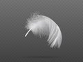 Light falling white bird feather  vector Royalty Free Stock Photo