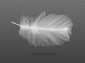 Light falling white bird feather  vector Royalty Free Stock Photo