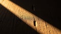 Of light falls diagonally on a wooden surface highlighting its textured Royalty Free Stock Photo