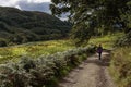 Road to Carnasserie Castle, Lochgilphead, Scotland, United Kingdom Royalty Free Stock Photo