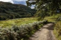 Road to Carnasserie Castle, Lochgilphead, Scotland, United Kingdom Royalty Free Stock Photo