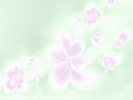 Light floral background