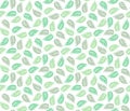 Tropical Palm Leaf Wallpaper. White And Green Vector Background. Seamless Vector Pattern.