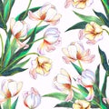 Seamless pattern from flowers tulips with leaves.