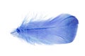 Light fluffy blue feather isolated on white background Royalty Free Stock Photo