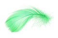 Light fluffy green feather isolated on white background Royalty Free Stock Photo