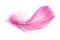 Light fluffy pink feather isolated on white background Royalty Free Stock Photo