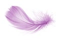 Light fluffy pink feather isolated on white background Royalty Free Stock Photo