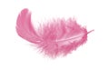 Light fluffy pink feather isolated on white background. Royalty Free Stock Photo