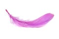 Light fluffy pink feather isolated on white background Royalty Free Stock Photo