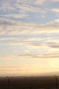 Light fog over a green field during summer sunset, gradient of colors in the sky, cloudy weather, silhouettes of trees