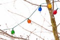 Light garland on tree branches in winter
