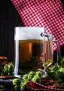 Light german beer poured into big glass, fresh green hops and bo Royalty Free Stock Photo