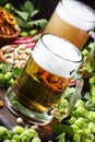 Light german beer poured into big glass, fresh green hops and bo Royalty Free Stock Photo