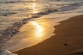Golden shimmering sunset light on gentle waves on a sandy beach