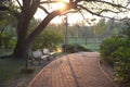 A romantic scenery at evening in the park Royalty Free Stock Photo