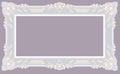 Light Gray Baroque Frame Royalty Free Stock Photo