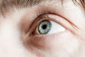 Light gray-blue eye looks up. Royalty Free Stock Photo