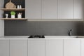 Light gray countertops in modern kitchen