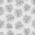 Light gray Hibiscus flower print. Gorgeous nasturtium.loral Pattern. Trendy seamless background. Fashion Texture. Line drawing.