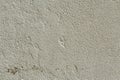 Light Gray horizontal cement background for copy space