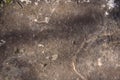 Light gray texture of the stone close-up. Place for text, title Royalty Free Stock Photo