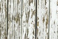 Light gray wooden background. Wooden background, painted surface of the old gray boards. Weathered gray wood texture. Vertical Royalty Free Stock Photo