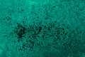 Light green abstract rough background. Old dirty damaged painted wall. Close-up. Teal background Royalty Free Stock Photo