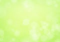 Light green background Royalty Free Stock Photo
