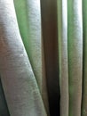 Light green blackout fabric with thick glossy embossed pattern